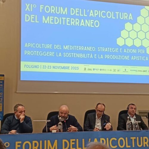 XI° Forum dell’Apicoltura del Mediterraneo